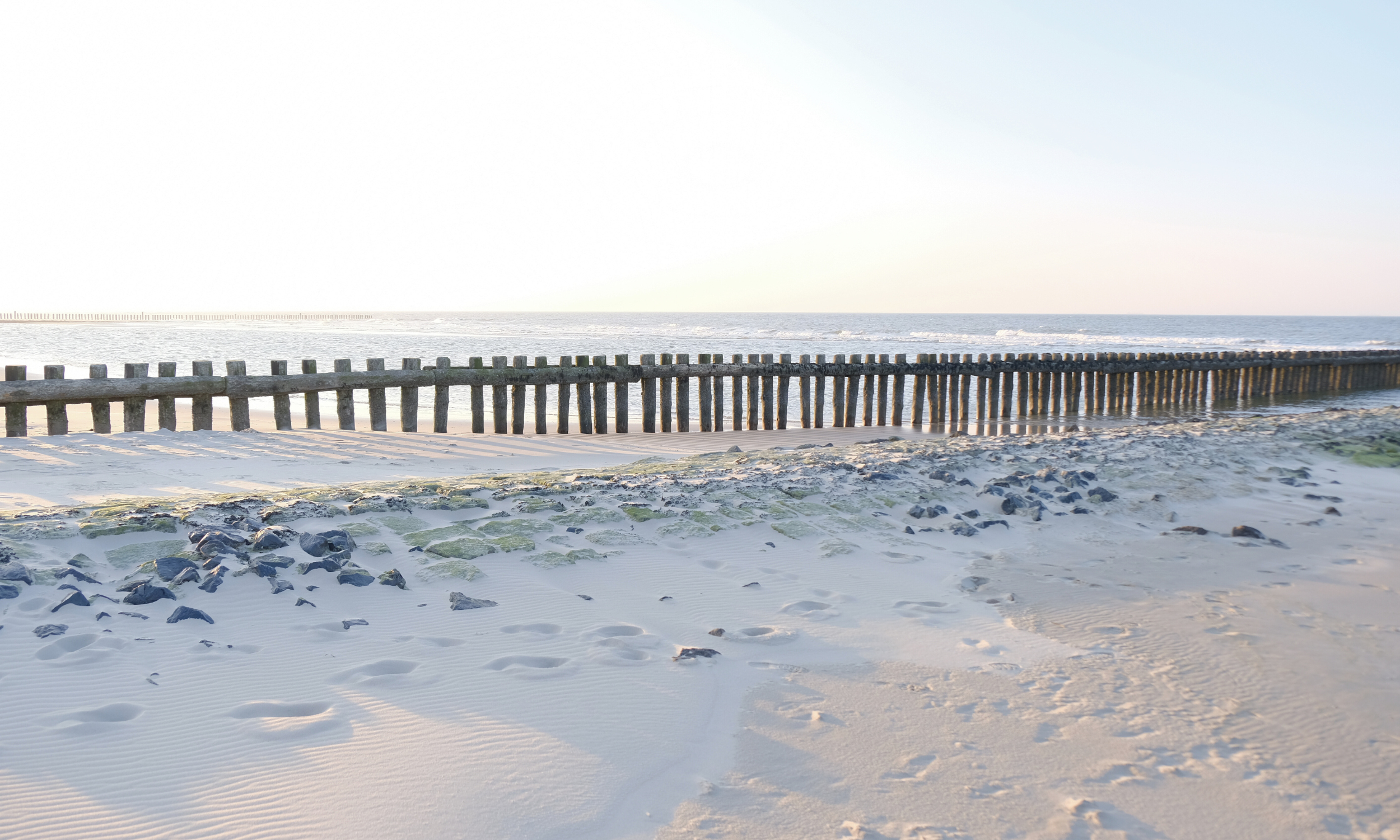 Küstenlandschaft_Frühjahr